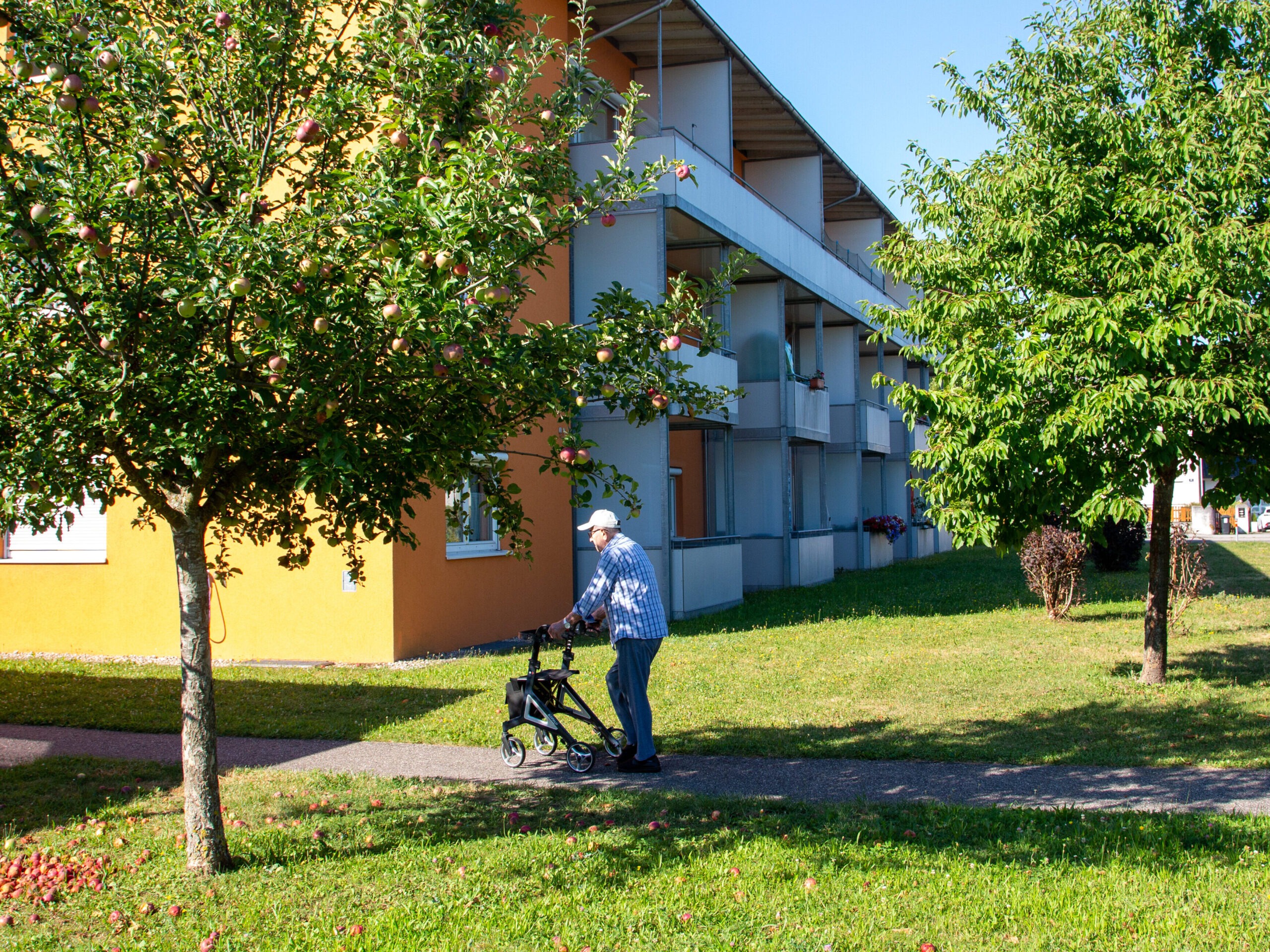 Ein älterer Mann schiebt seinen Rollator auf dem Gehweg neben Obstbäumen vor einem gelben Wohnhaus mit blauem Himmel.